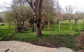 Ile De Behuard